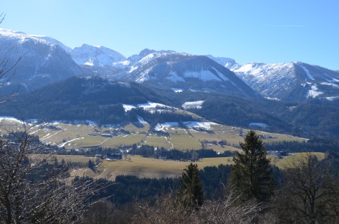 Berge vor Wiesen und Wäldern