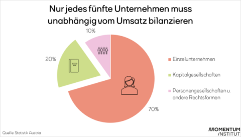 Tortengrafik zeigt, dass nur jedes fünfte Unternehmen unabhängig vom Umsatz bilanzieren muss.