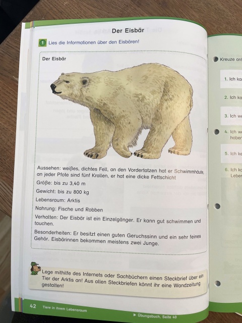 Eine Schulbuchseite, auf der das Thema Arktis behandelt wird