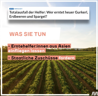 Überschrift der Salzburger Nachrichten: "Totalausfall der Helfer: Wer erntet heuer Gurkel, Erdbeeren und Spargel?" Bildtext auf einem Spargelfeld: "Was sie tun: 1. Erntehelfer:innen aus Asien einfliegen lassen. 2. Geflüchtete erst nach Monaten arbeiten lassen. 3. Staatliche Zuschüsse fordern, statt Erntehelfer:innen fair zu entlohnen."