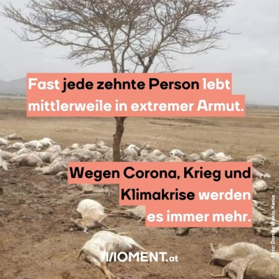 Tote Ziegen liegen herum. Bildtext: "Wegen Corona, Krieg und Klimakrise geraten immer mehr Menschen weltweit in die extreme Armut."