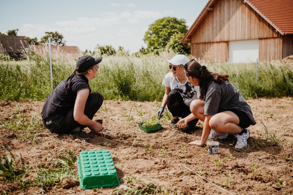 Die drei Mädchen von thebloomingproject bei der Arbeit auf dem Feld.