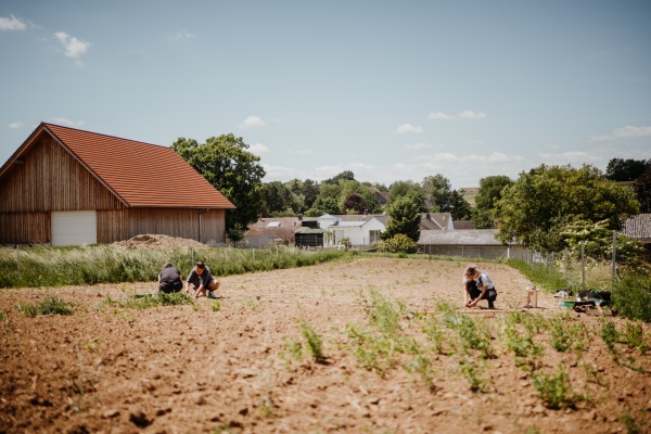 Die drei Mädchen von thebloomingproject setzen Pflanzen in die Erde