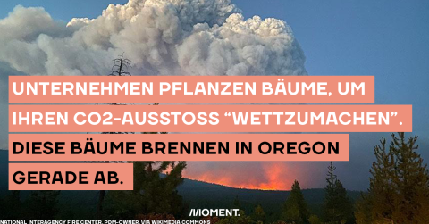 Waldbrände. Text: "Unternehmen pflanzen Bäume, um ihren CO2-Ausstoß 'wettzumachen'. Diese Bäume brennen in Oregon gerade ab."