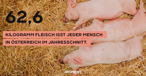 62,6 Kilogramm Fleisch isst jeder Mensch in Österreich im Jahresschnitt.