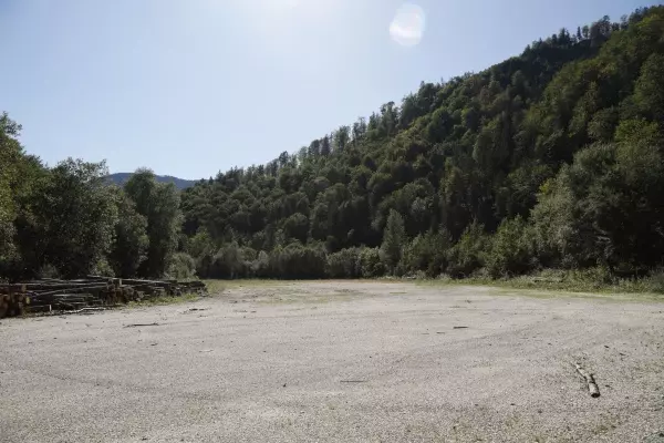 Ein Holzlagerplatz in der Nähe: Auch hier hätte die Gasbohrung in Molln stattfinden können.  