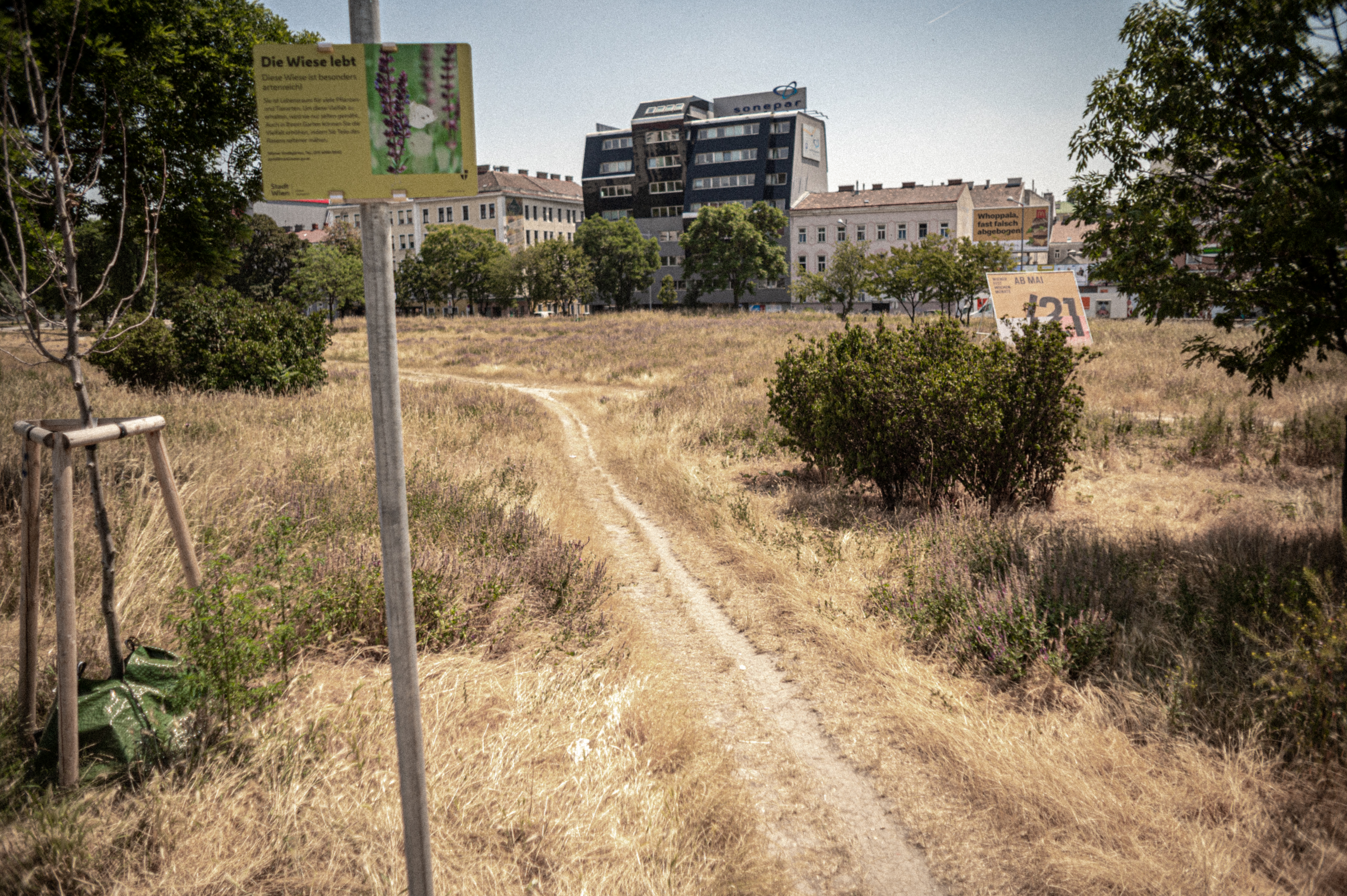 Hitzewelle in der Stadt