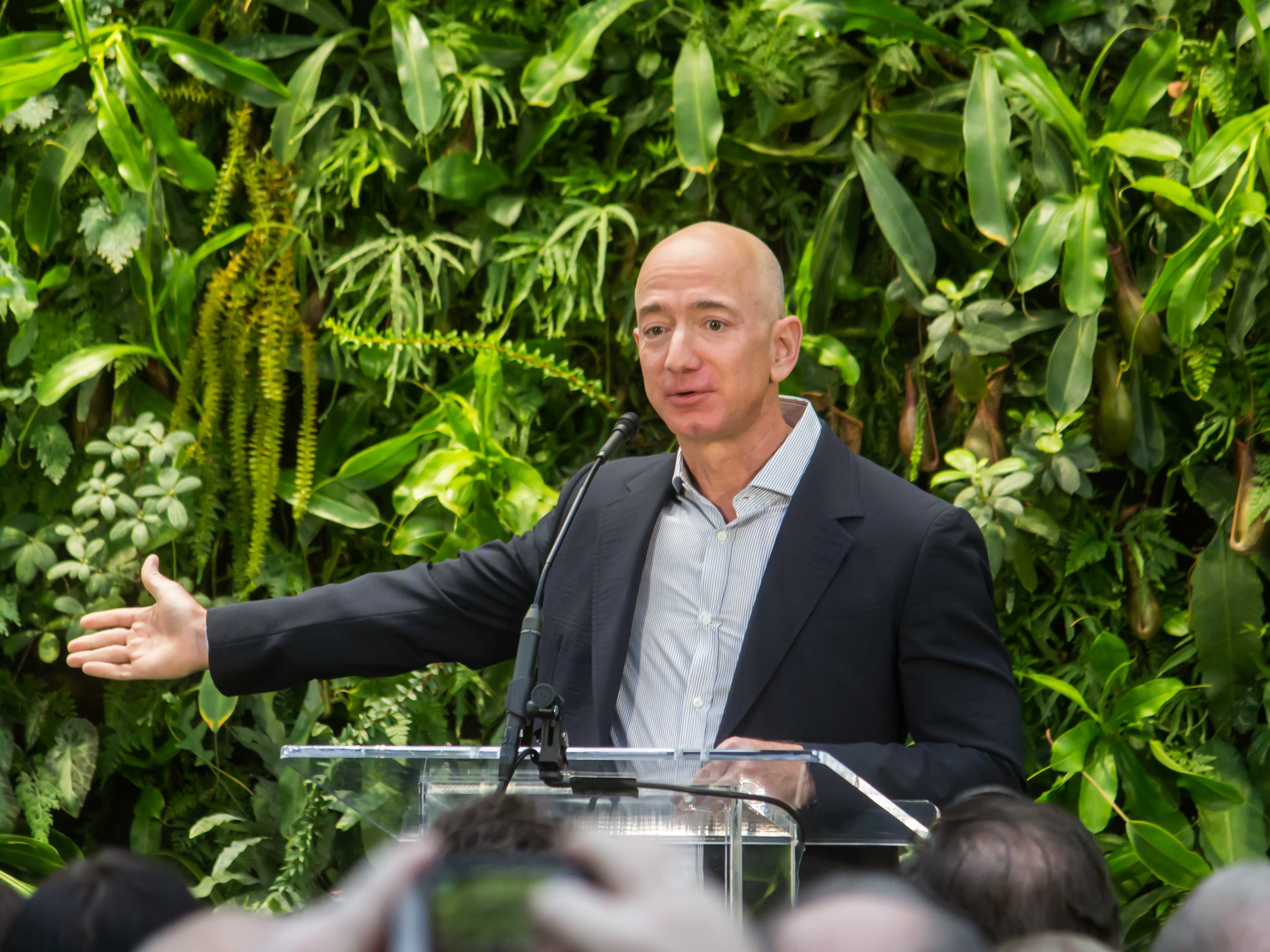 Jeff Bezos vor einer Wand aus Pflanzen und spricht in ein Mikrofon.