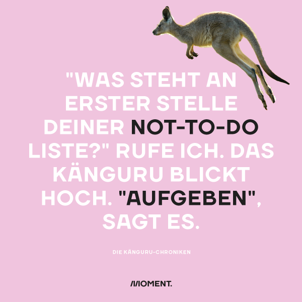 "Was steht an erster Stelle deiner Not-to-do Liste?" rufe ich. Das Känguru blickt hoch. "Aufgeben", sagt es. 