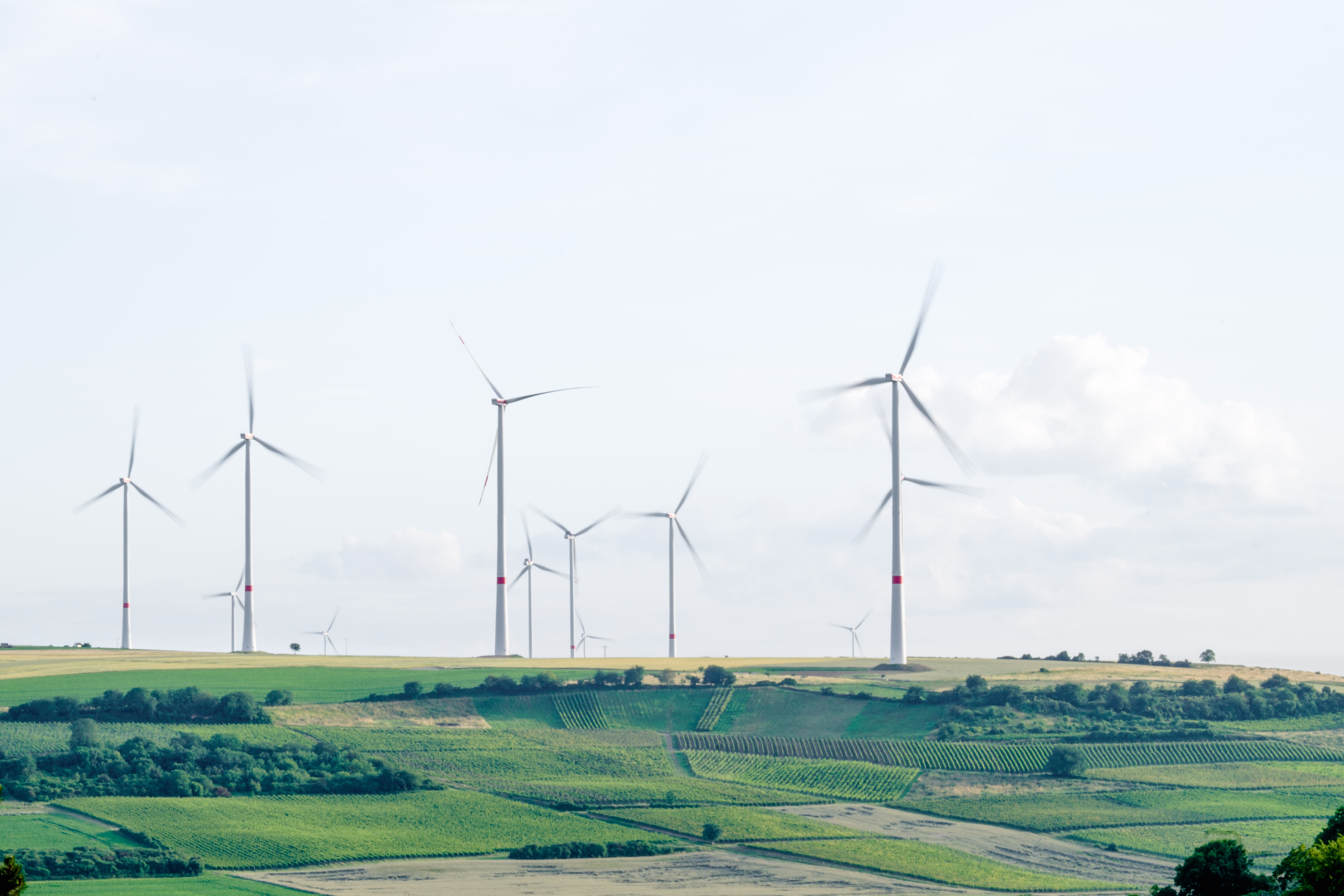 Windräder auf einem Feld.