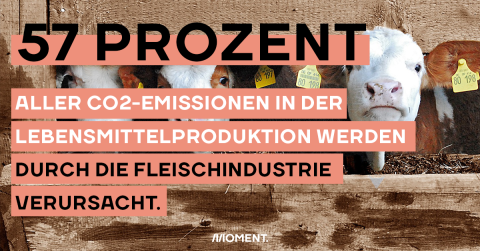 57 Prozent aller CO2-Emissionen in der Lebensmittelproduktion werden durch die Fleischindustrie verursacht