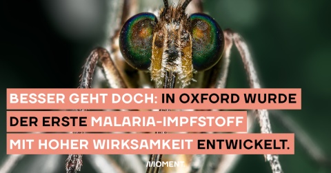 Der erste Malaria-Impfstoff 