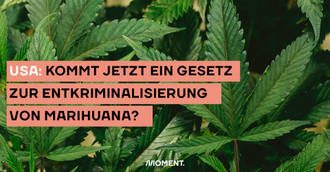 USA: Kommt jetzt ein Gesetz zur Entkriminalisierung von Marihuana?