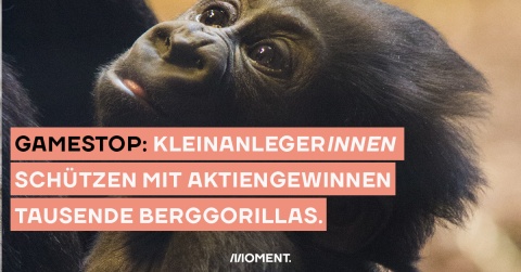 Das Bild zeigt ein Gorilla-Baby. Der Text sagt: Kleinanleger übernehmen 3.500 Patenschaften für Berggorillas.