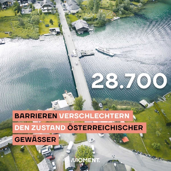 Luftaufnahme der Brücke, die die Kärntner Weißensee Gemeinden verbindet. Text: 28.700 Barrieren verschlechtern den Zustand österreichischer Gewässer