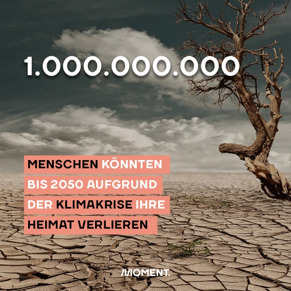 Foto zeigt einen verdörrten Baum auf einem durch Dürre aufgeplatzten und brüchigen Boden. Text: 1 Milliarde Menschen könnten bis 2050 aufgrund der Klimakrise ihre Heimat verlieren