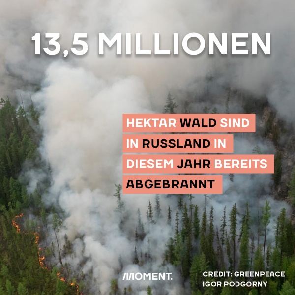 Luftaufnahme eines russischen Waldes, der durch Waldbrände mit massiver Rauchentwicklung zerstört wird. Text: 13,5 Millionen Hektar Wald sind in Russland in diesem Jahr bereits abgebrannt