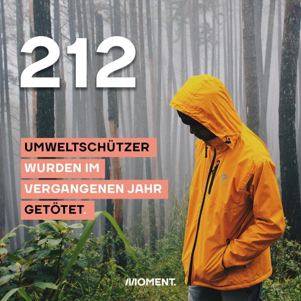 Shareable zeigt eine Person, die im Regenmantel in einem nebelverhangenen Wald steht. Text: 212 Umweltschützer wurden im vergangenen Jahr getötet