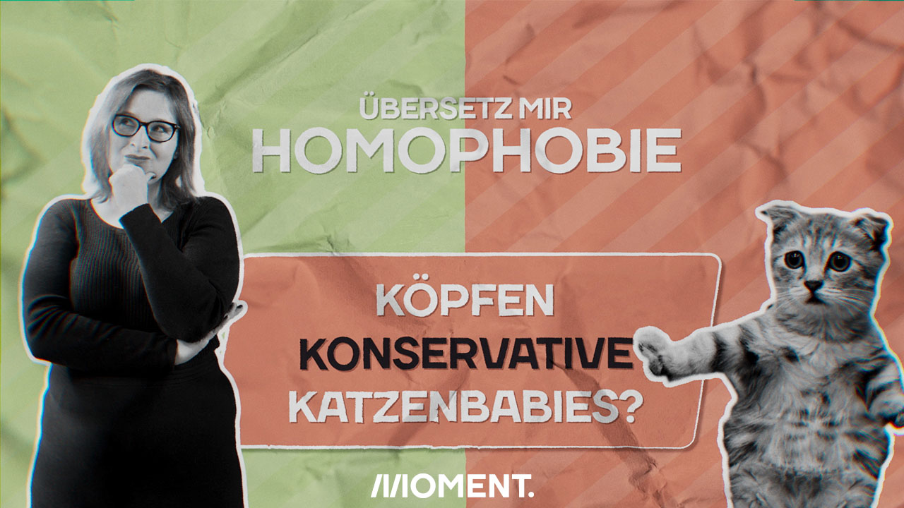 Köpfen Konservative Katzenbabies? Übersetz mir Homophobie, Natscha Strobl