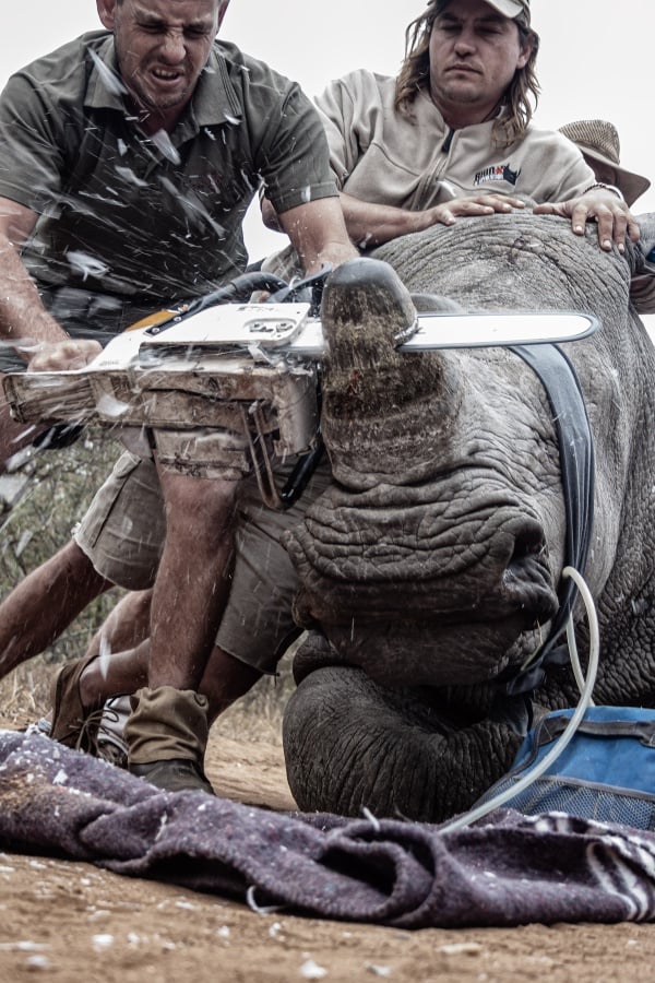 "Desperate Measures" - Foto: CIWEM/Neville Ngomane (Limpopo, Südafrika)