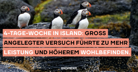 Versuch zur Vier-Tage-Woche in Island ein voller Erfolg.