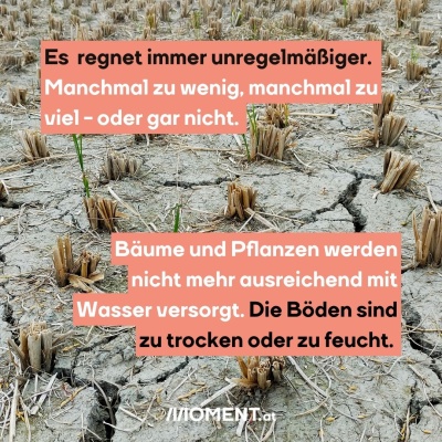 Ein vertrockneter Boden. Bildtext: "Es  regnet immer unregelmäßiger. Manchmal zu wenig, manchmal zu viel - oder gar nicht. Bäume und Pflanzen werden nicht mehr ausreichend mit Wasser versorgt. Die Böden sind zu trocken oder zu feucht."