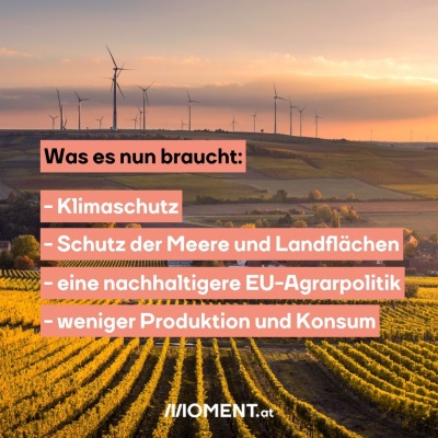Eine idyllische Landwirtschaft und Windräder. Bildtext: "Was es nun braucht: Klimaschutz, Schutz der Meere und Landflächen, eine nachhaltigere EU-Agrarpolitik, und weniger Produktion und Konsum."