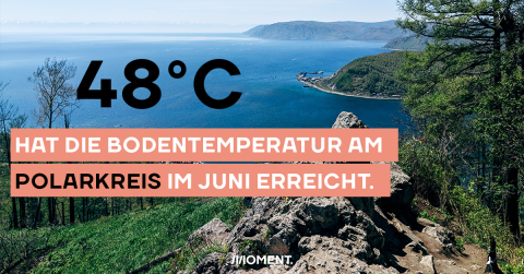 48°C hat die Bodentemperatur am Polarkreis im Juni erreicht