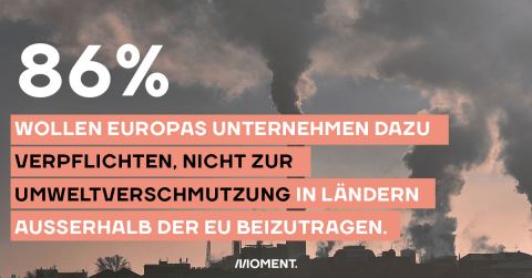 86 Prozent wollen Europas Unternehmen dazu verpflichten, nicht zur Umweltverschmutzung in Ländern außerhalb der EU beizutragen.