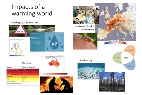 Diese Auswirkungen hat die Erderhitzung auf Mensch und Umwelt