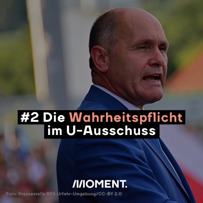 #2 Die Wahrheitspflicht im U-Ausschuss