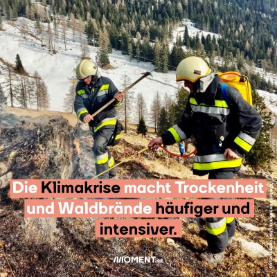 Die Klimakrise macht Trockenheit und Waldbrände häufiger und intensiver.