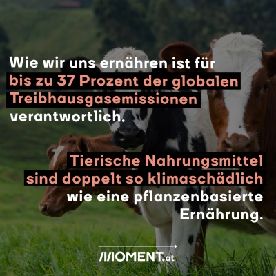 Wie wir uns ernähren ist für bis zu 37 Prozent der globalen Treibhausgasemissionen verantwortlich.  Tierische Nahrungsmittel sind doppelt so klimaschädlich wie eine pflanzenbasierte Ernährung. 