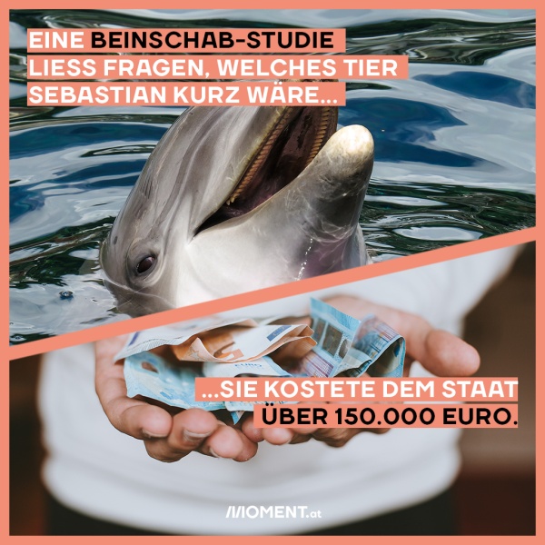 Ein Delfin, darunter Hände, die Geld halten. 