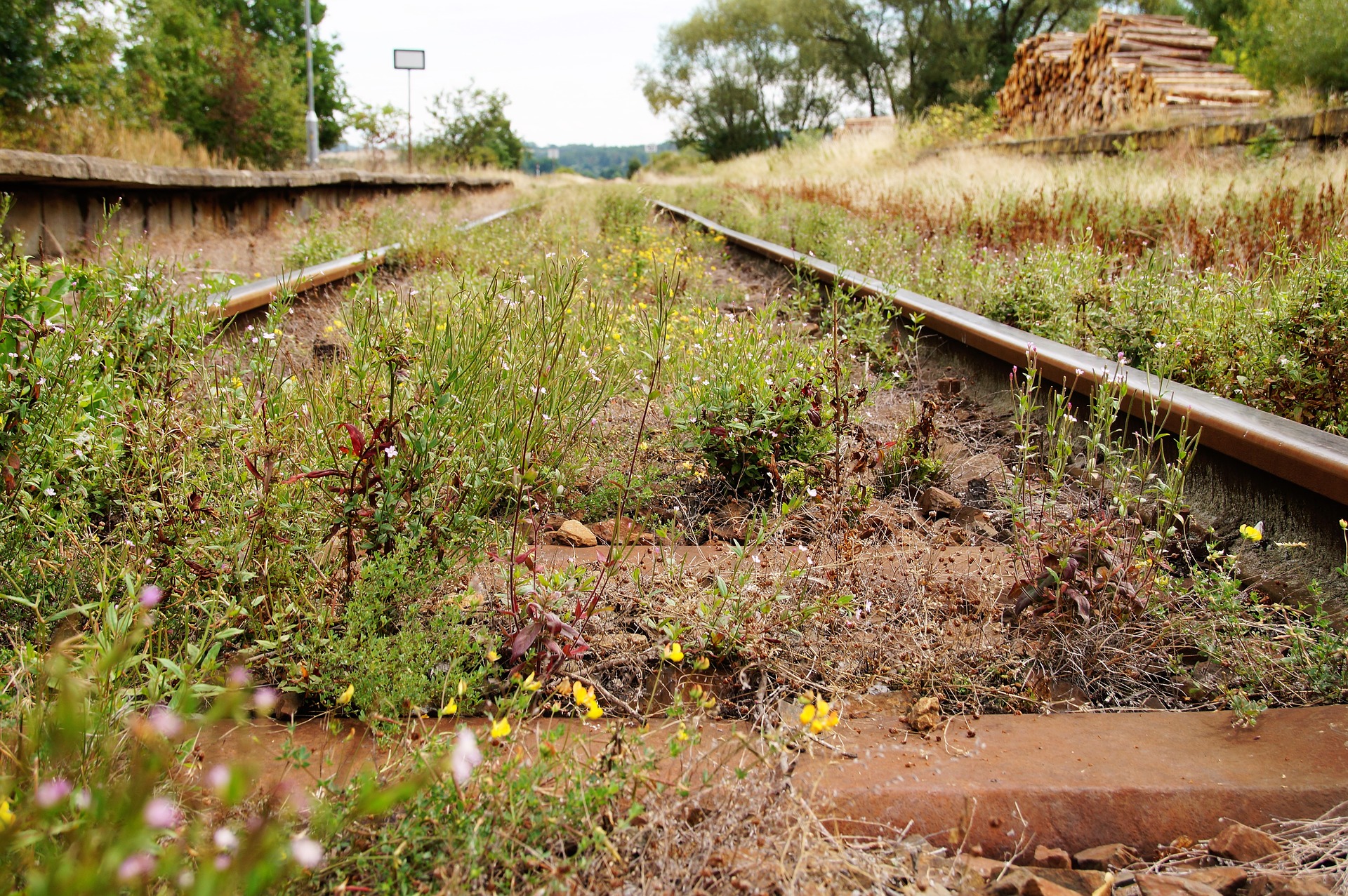 Möchte man ehemalige Bahnstrecken wiederbeleben, gibt es aktuell zu viele Hürden.