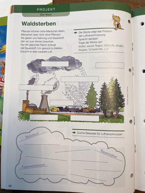 Eine Schulbuchseite, auf der das Thema Waldsterben behandelt wird