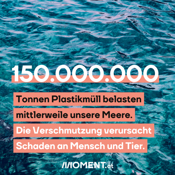 150 Mio. Tonnen Plastikmüll belasten mittlerweile unsere Meere. Die Verschmutzung verursacht erheblichen Schaden für Tier und Mensch.