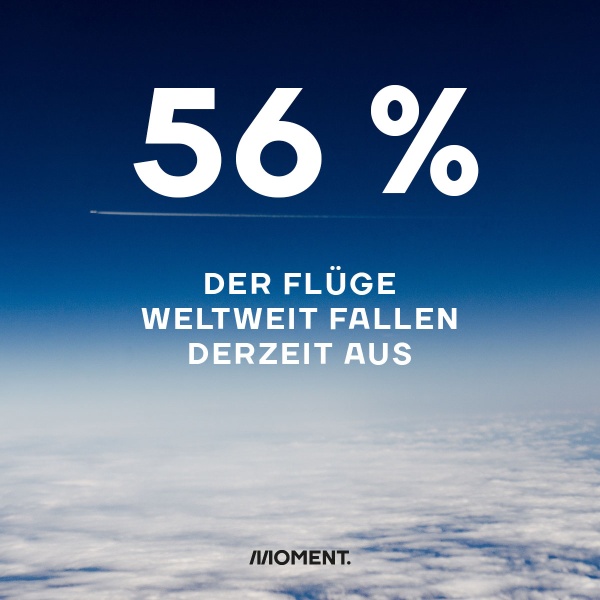Shareable zeigt ein Flugzeug hoch über den Wolken. Text: 56% der Flüge weltweit fallen derzeit aus.