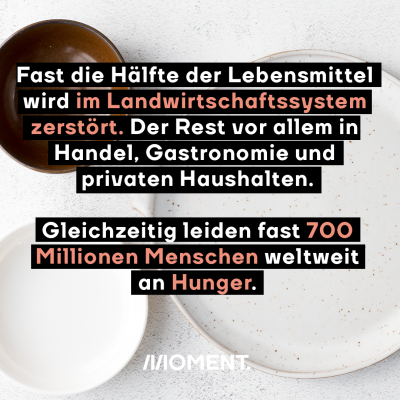 Fast die Hälfte der Lebensmittel wird im Landwirtschaftssystem zerstört.