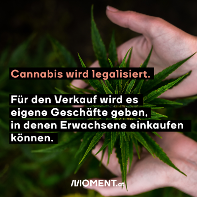 Cannabis wird legalisiert