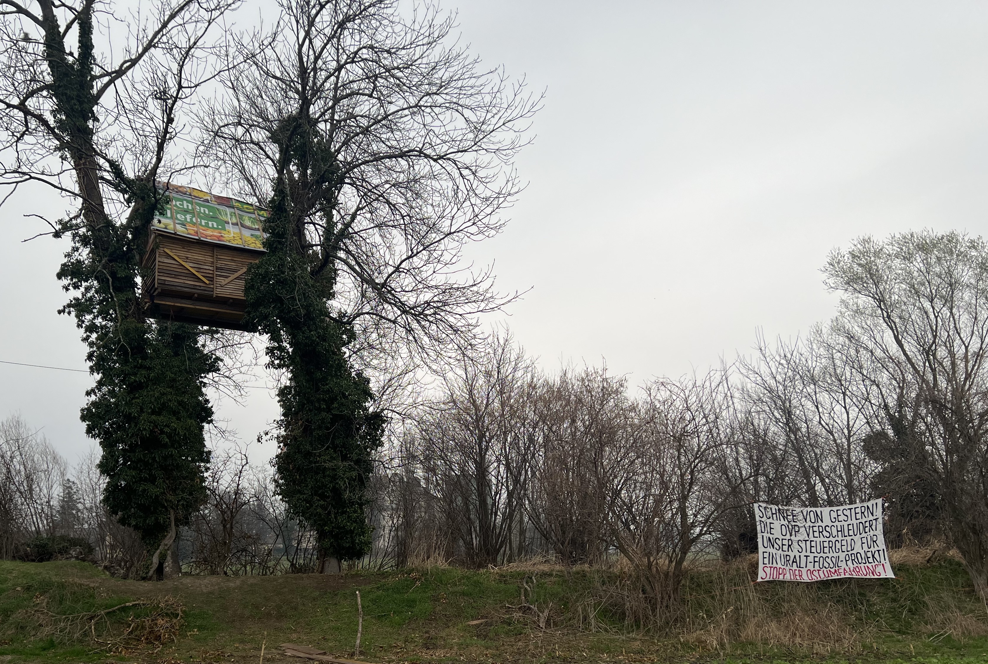 Widerstand aus dem Baumhaus gegen die Ostumfahrung in Wiener Neustadt