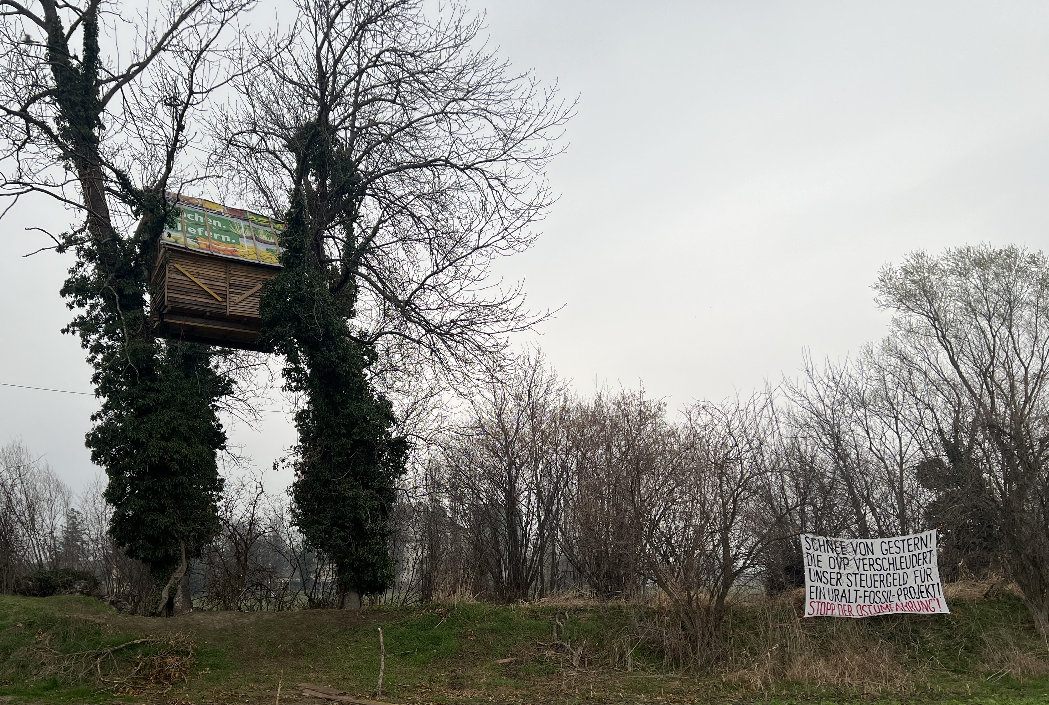 Foto des Baumhauses, dass bei der Besetzung gegen die Ostumfahrung Wiener Neustadt errichtet wurde.