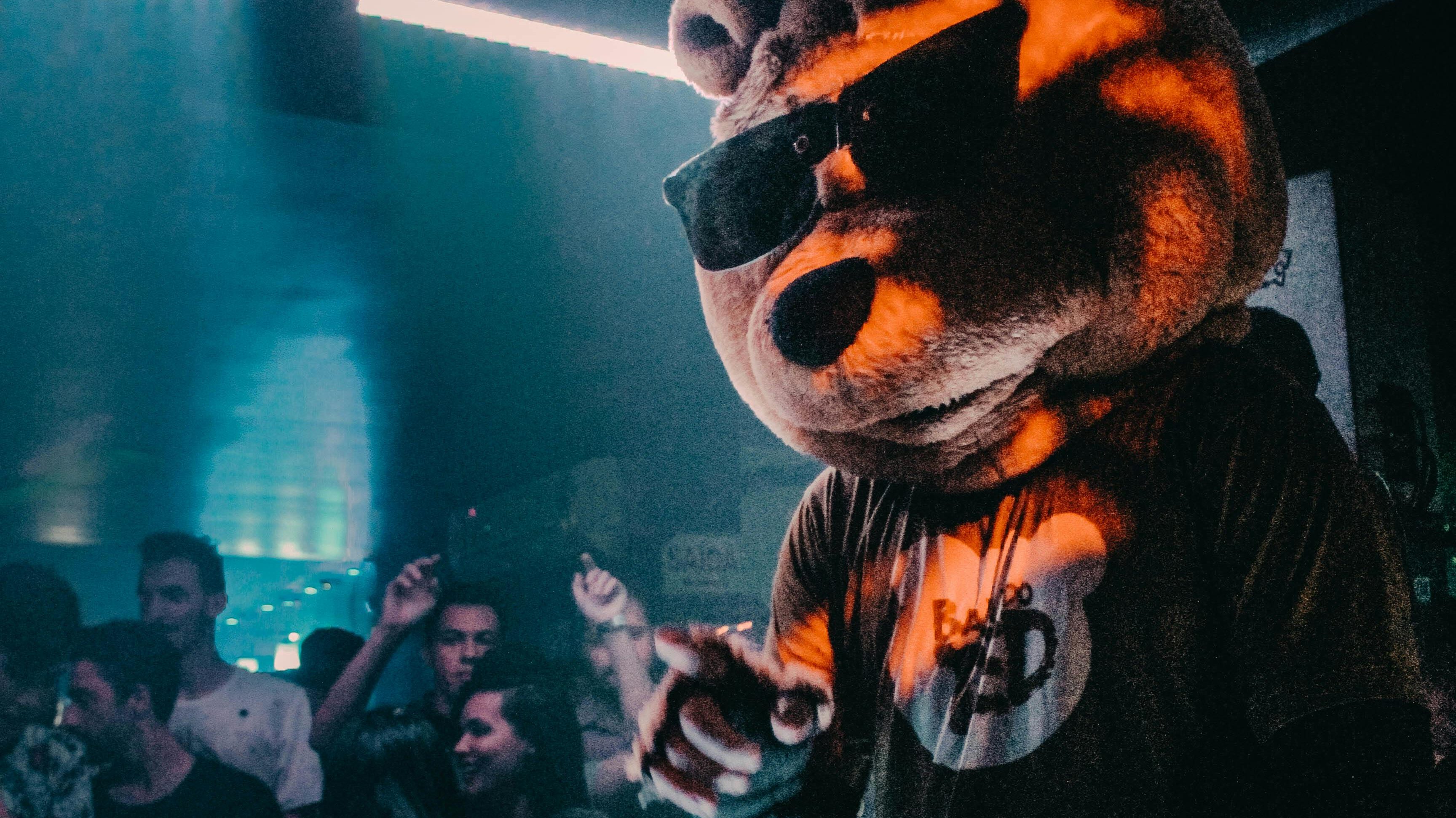 Foto von einer Party mit absurden Gestalten - unter anderem ein Bär mit Sonnebrille: Wenn die Unternehmenskultur