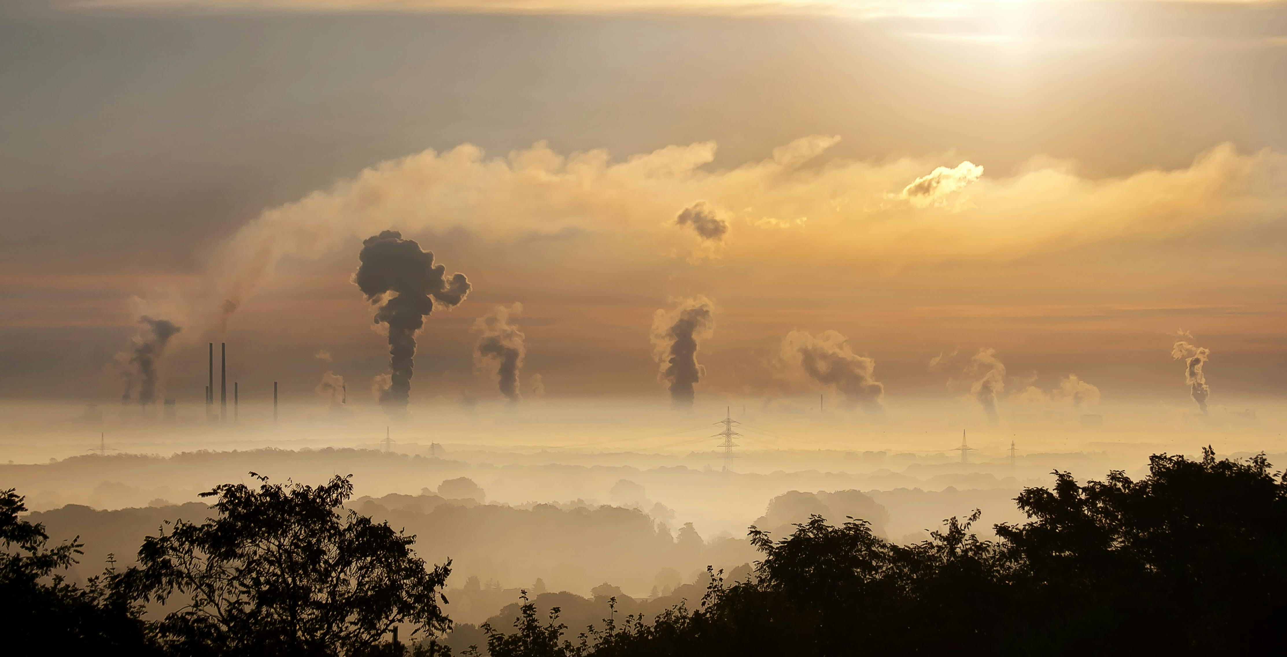 CO2-Kompensation: Ablasshandel für schlechtes Gewissen?