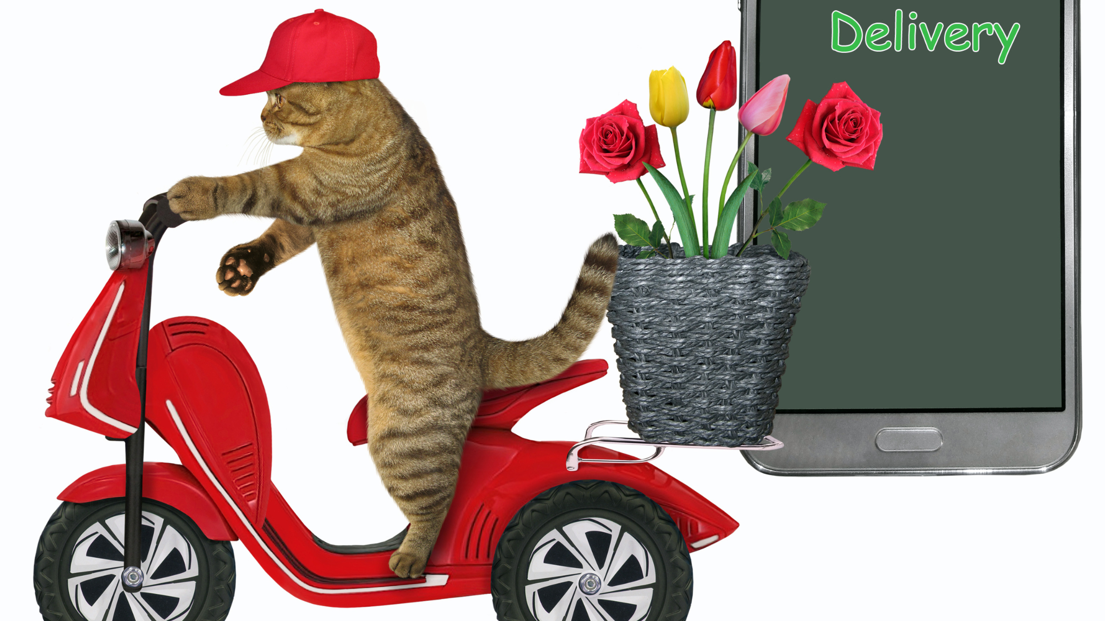 Katze auf einem E-Moped mit Blumen im Gepäck