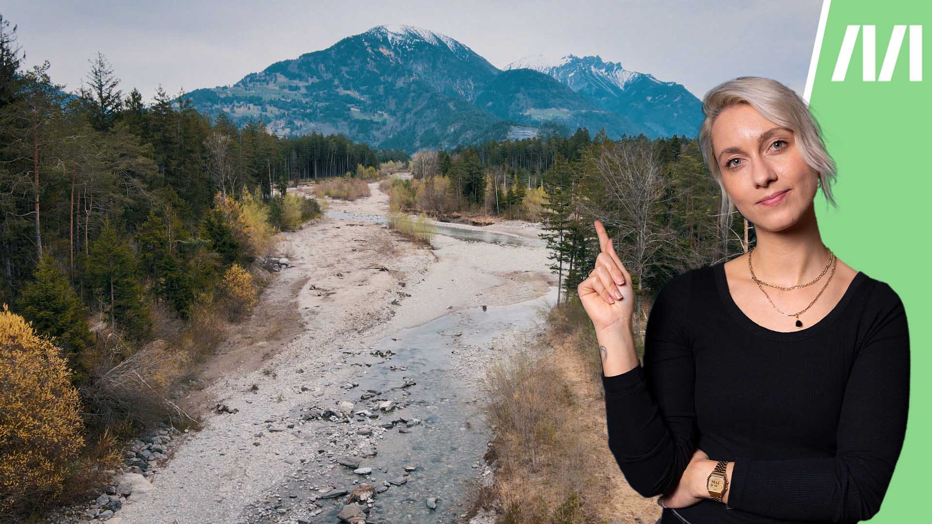 Das vielleicht wichtigste Naturschutzgesetz: Wie sieht Renaturierung in Österreich aus?