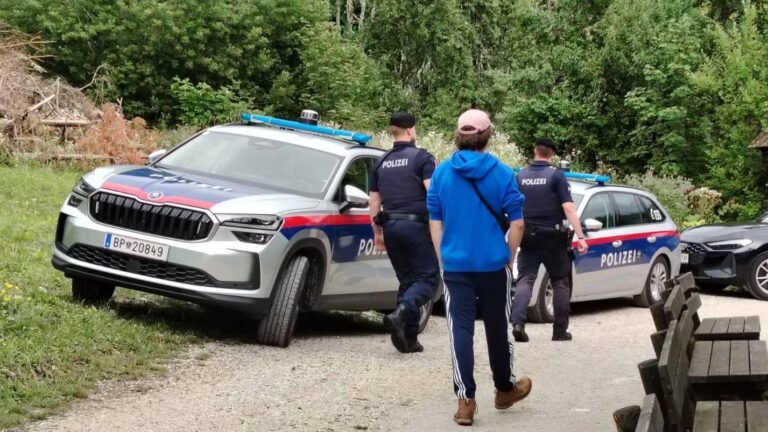 Das Foto zeigt zwei Polizisten in Uniform und eine Person in einem blauen Hoodie und mit Kappe. Alle drei sind von hinten zu sehen. Hinter ihnen sieht man zwei Polizeiautos, weiter im Hintergrund einen Waldrand.