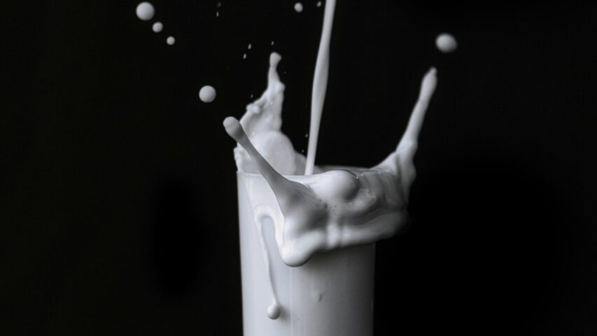 Milch, Mehl und Macht: So beherrscht Raiffeisen Österreichs Grundnahrungsmittel