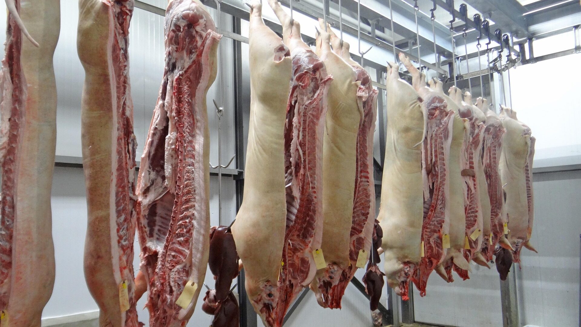 Was ein Fleischer wirklich denkt: 