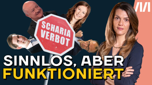 Symbolpolitik: Am Video-Thumbnail steht Barbara Blaha in einer Fotomontage neben einem Schild, das "Scharia-Verbot" besagt. Rundherum sind die Gesichter von Christian Stocker, Sebastian Kurz, Claudia Bauer und Friedrich Merz. Darauf steht "Sinnlos, aber funktioniert"